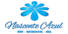 Logo Nascente Azul